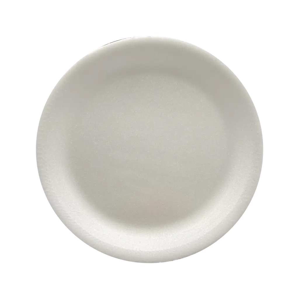 PLATO PLASTICO LISO #2 25PZ