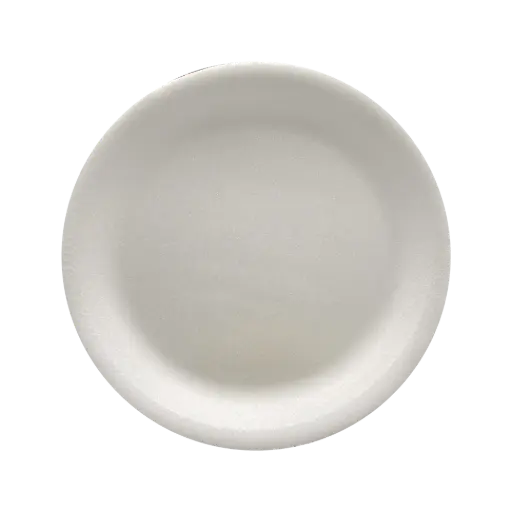 [DES080] PLATO PLASTICO LISO #2 25PZ